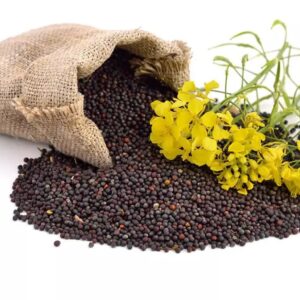 Spring Canola - Annapushti Enterprise Private Limited