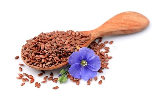 Flax - Annapushti Enterprise Private Limited