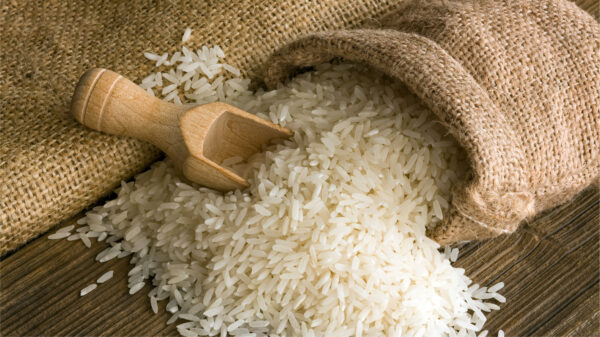 Rice - Annapushti Enterprise Private Limited