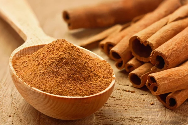 Cinnamon - Annapushti Enterprise Private Limited