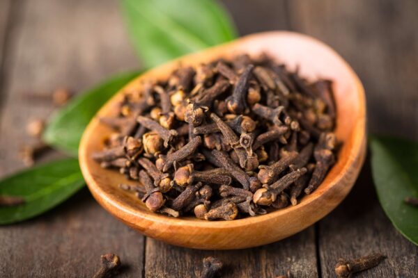 Clove - Annapushti Enterprise Private Limited