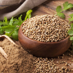 Coriander - Annapushti Enterprise Private Limited