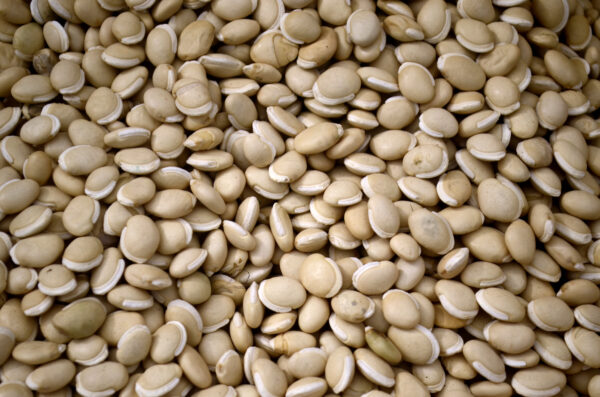 Field Beans - Annapushti Enterprise Private Limited