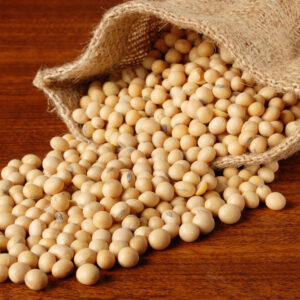 Soybeans - Annapushti Enterprise Private Limited