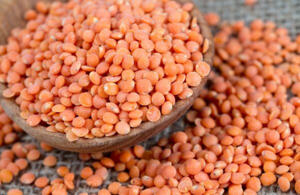 Masoor Dal - Red Lentil - Annapushti Enterprise Private Limited