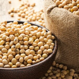 Soya Bean - Annapushti Enterprise Private Limited