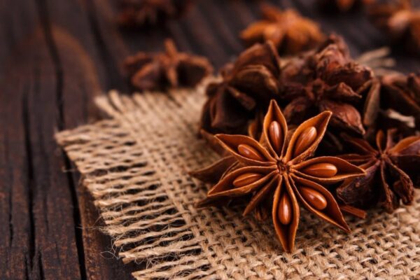 Star Anise - Annapushti Enterprise Private Limited