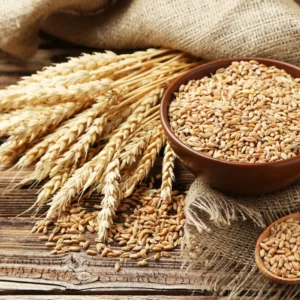 Wheat - Annapushti Enterprise Private Limited